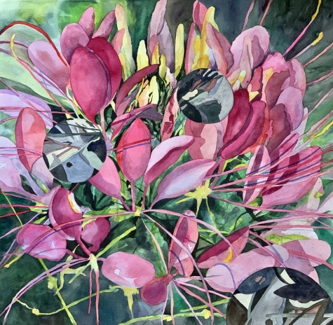 Visual Fields 2 Visual Fields