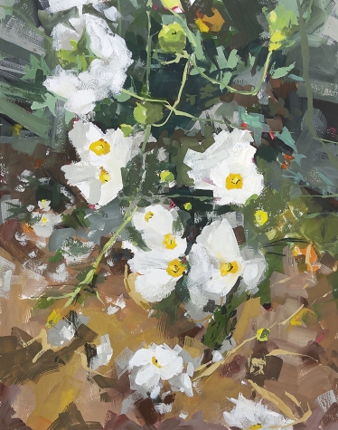 July Nicasio 1 July Nicasio